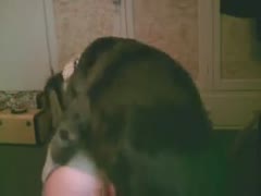 Beautiful black cock whores love having their pets prick them in the living room.